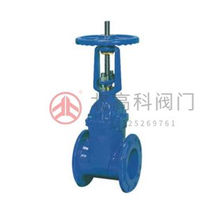 Z45X-10、Z45X-16 彈性座封閘閥